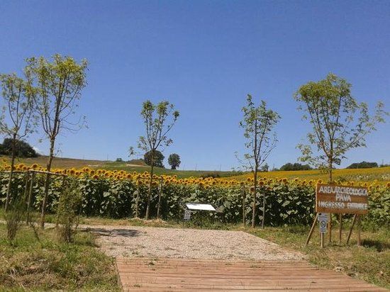 Parco Archeologico Pava